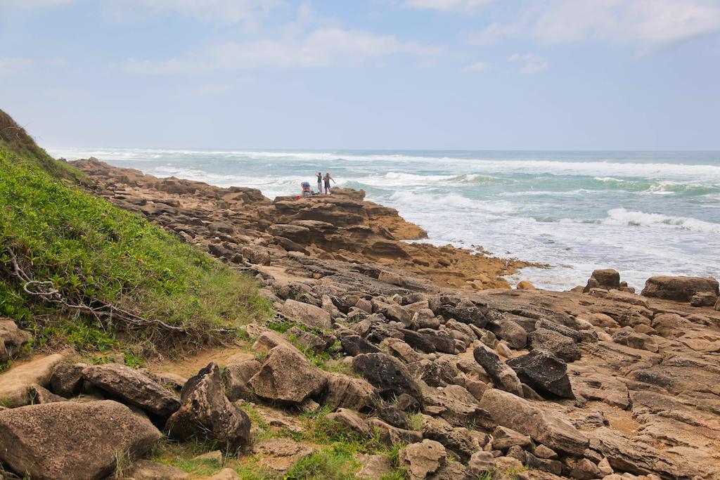 Saint Lucia Estuary Elephant Lake Hotel מראה חיצוני תמונה
